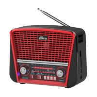 Радиоприемник Ritmix RPR-050