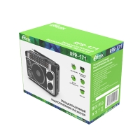 Радиоприемник Ritmix RPR-171