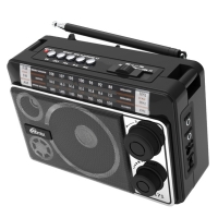 Радиоприемник Ritmix RPR-171