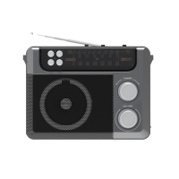 Радиоприемник Ritmix RPR-200