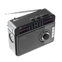 Радиоприемник Ritmix RPR-205