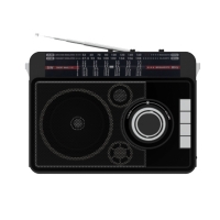 Радиоприемник Ritmix RPR-205