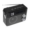 Радиоприемник Ritmix RPR-200